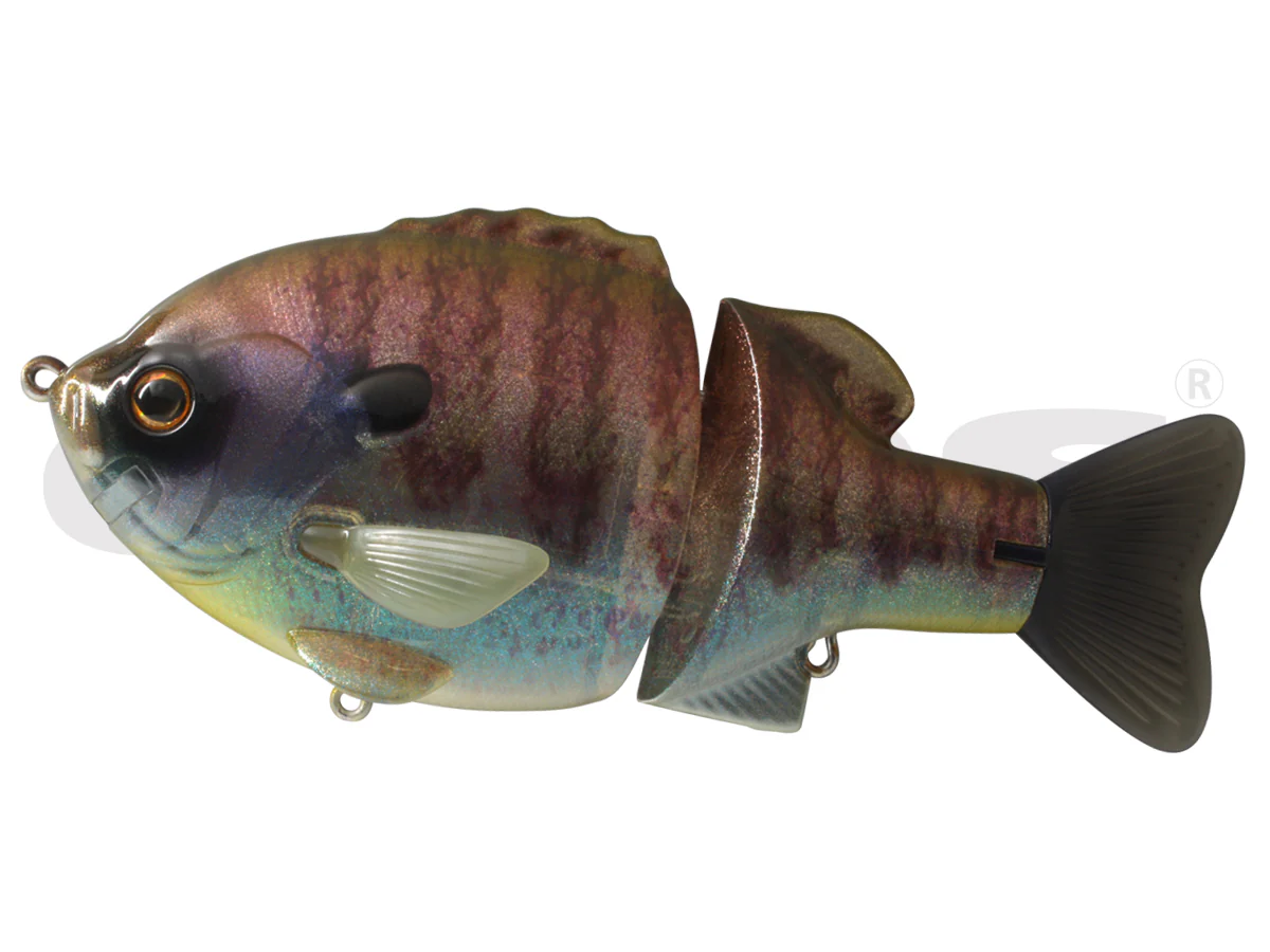 Bull Shooter 160 Floating - Image 2