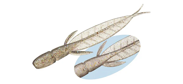 C-4 Leech