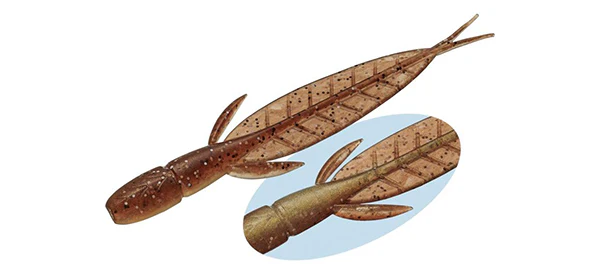C-4 Leech - Image 3