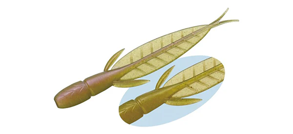 C-4 Leech - Image 8