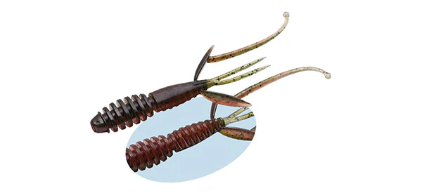 C-4 Shrimp - Image 4