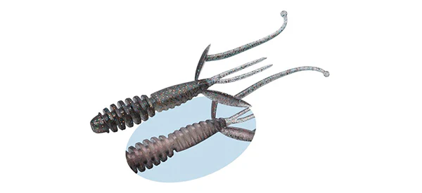 C-4 Shrimp - Image 6