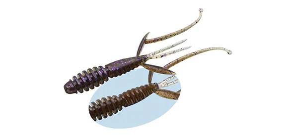 C-4 Shrimp - Image 7
