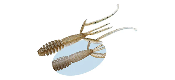 C-4 Shrimp - Image 8