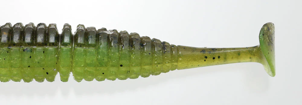 Caramel Shad - Image 3