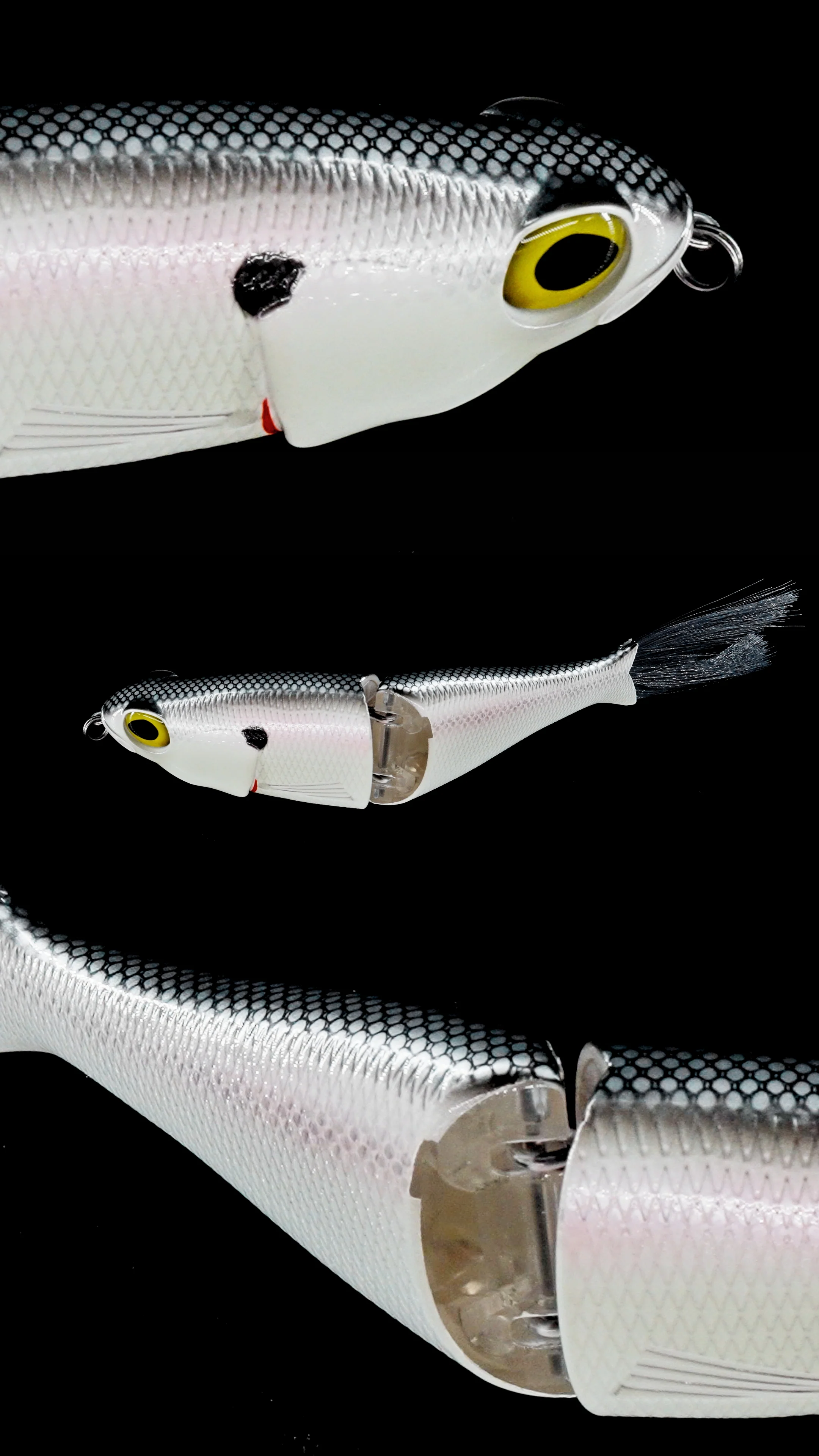 Chimera Shad - Image 10