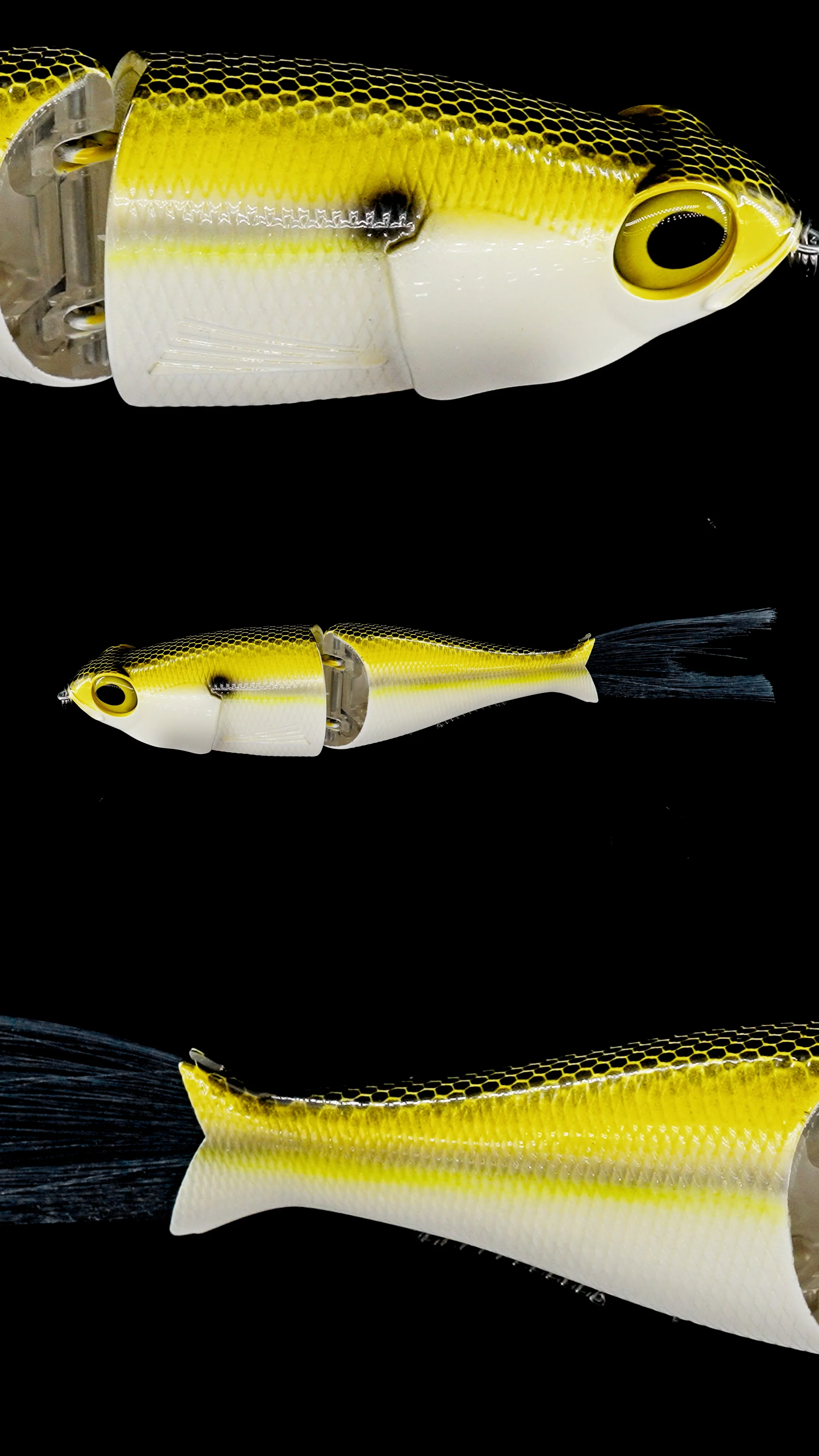 Chimera Shad - Image 11