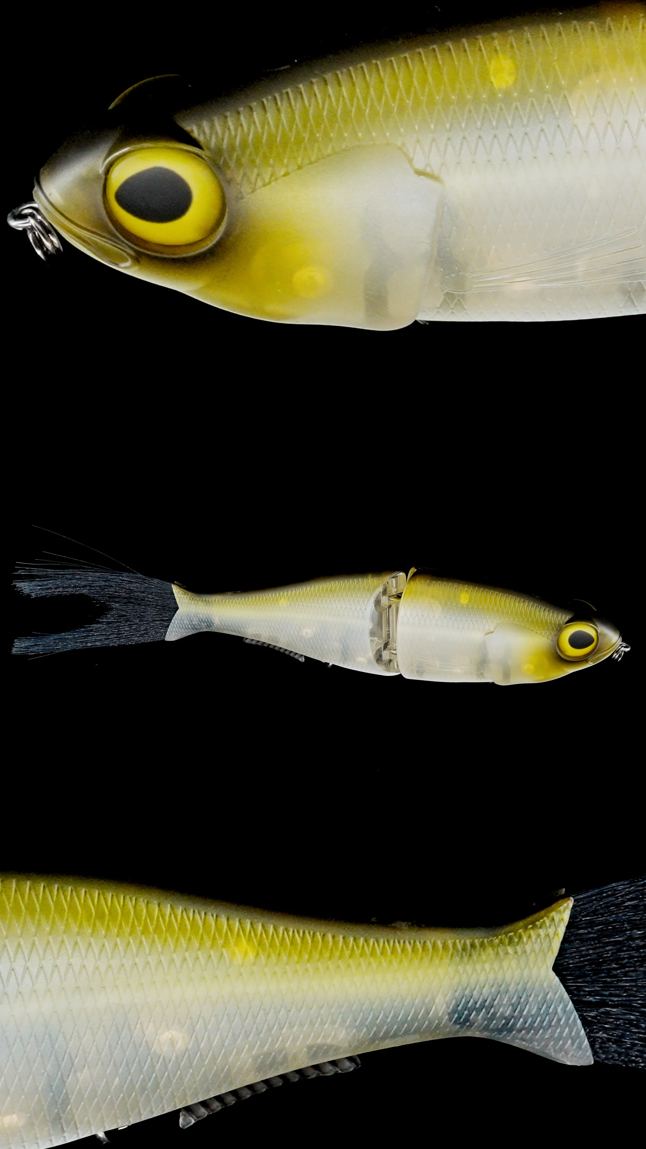 Chimera Shad 12 - Image 3