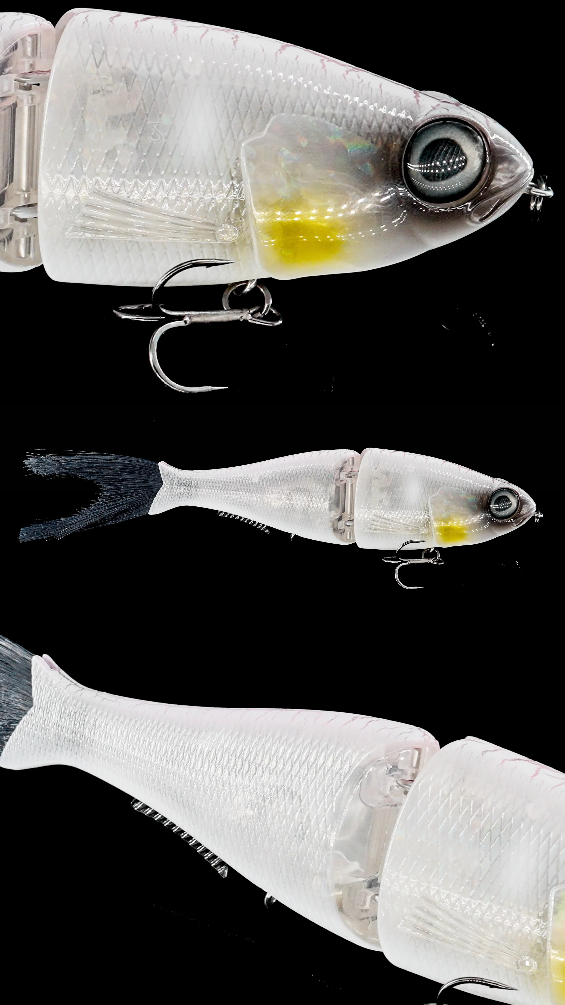 Chimera Shad - Image 12