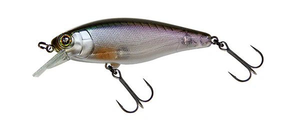 Chubble 80SR - Image 3