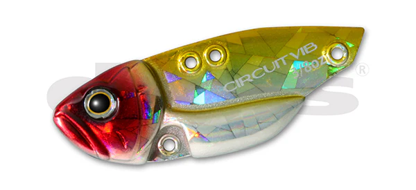 Circuit Vibe - Image 3