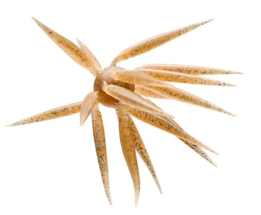 Coike Fish Elastomer M - Image 6