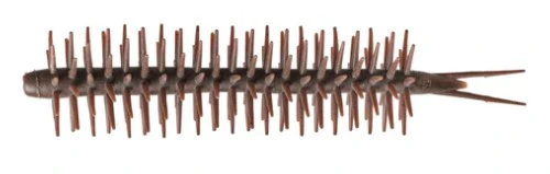 Coike Straight Elastomer - Image 5