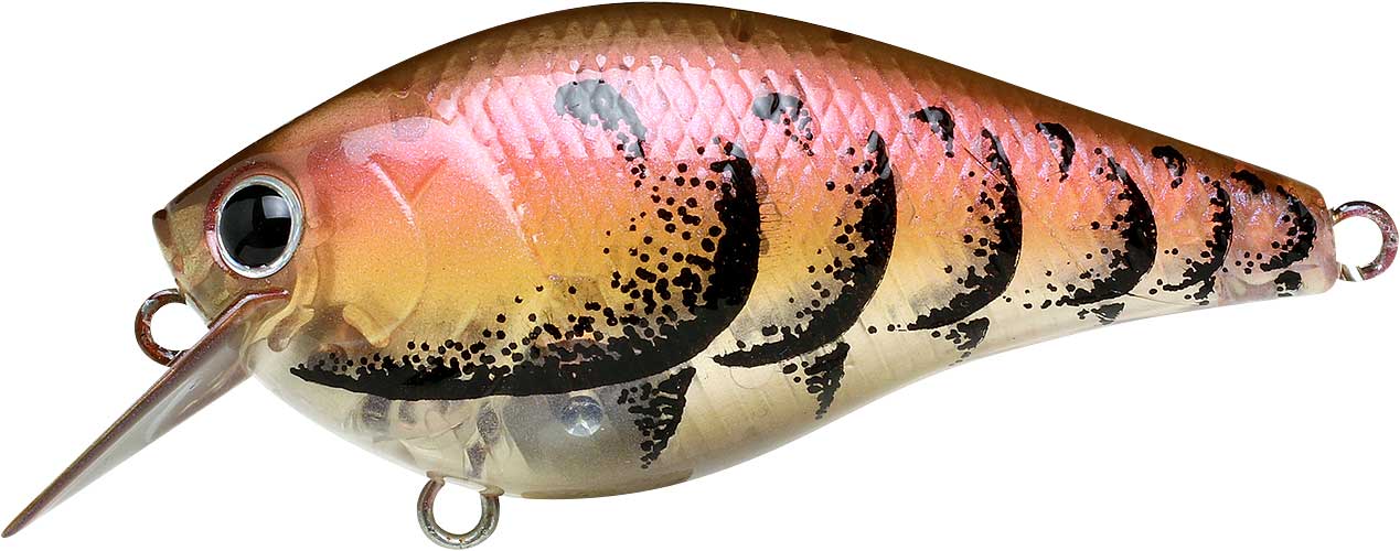 LC Crankbaits 1.0 - Image 10