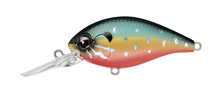 CR-16 Crankbaits - Image 6