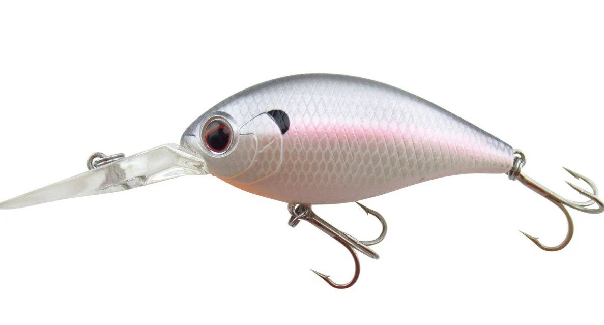 CR-8 Crankbaits - Image 10
