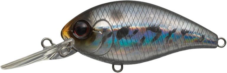 CR-8 Crankbaits - Image 5