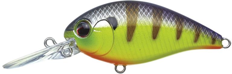 CR-8 Crankbaits - Image 6