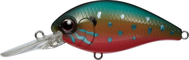 CR-8 Crankbaits - Image 9