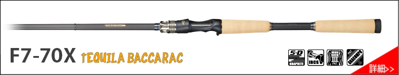 Destroyer P5 Casting Rods - Image 16
