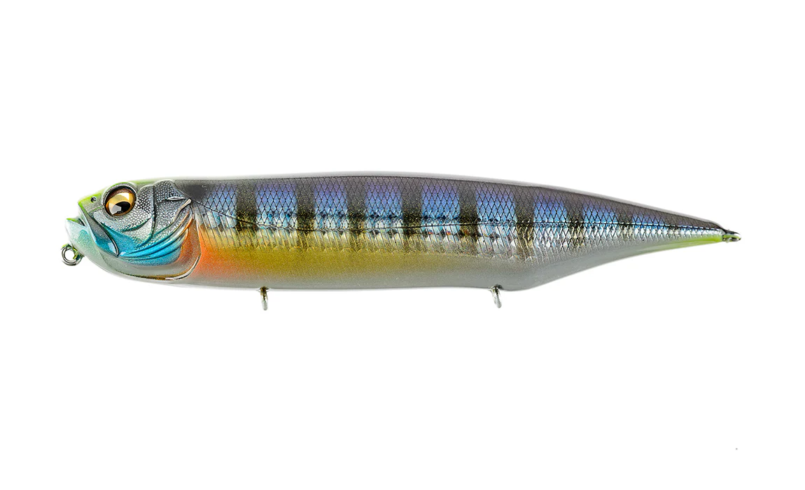 Dog-X Diamante - Image 15
