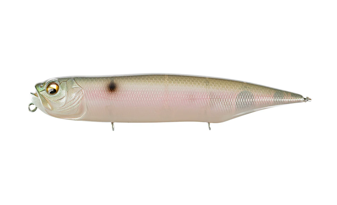 Dog-X Diamante - Image 16