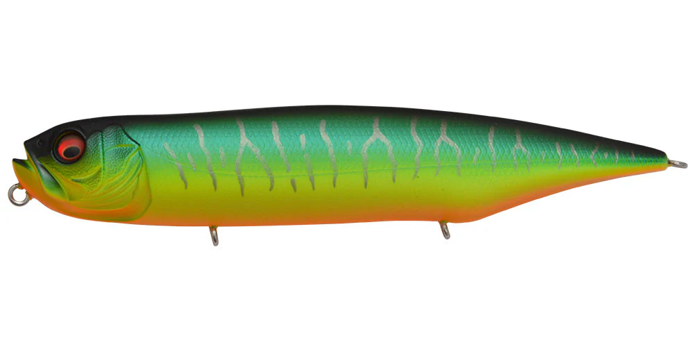 Dog-X Diamante - Image 19