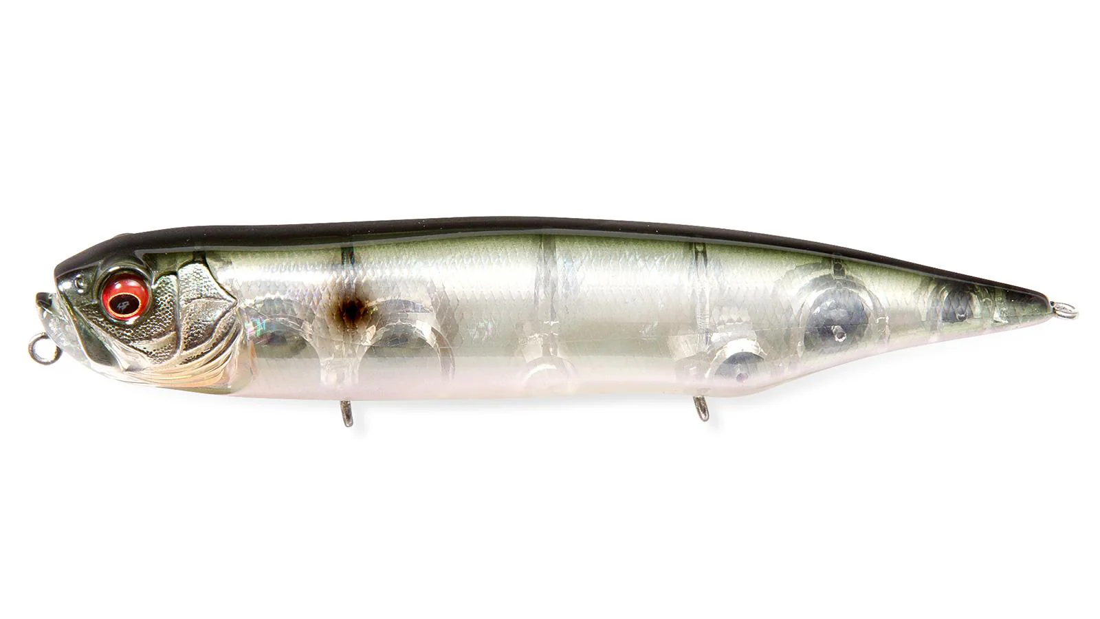Dog-X Diamante Sonic Slide - Image 6