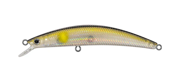 Dr Minnow - Image 6