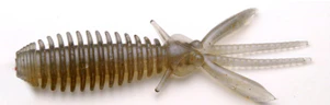 Egu Bug - Image 13