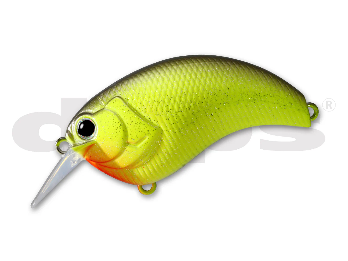 Evoke 1.2 - Image 15