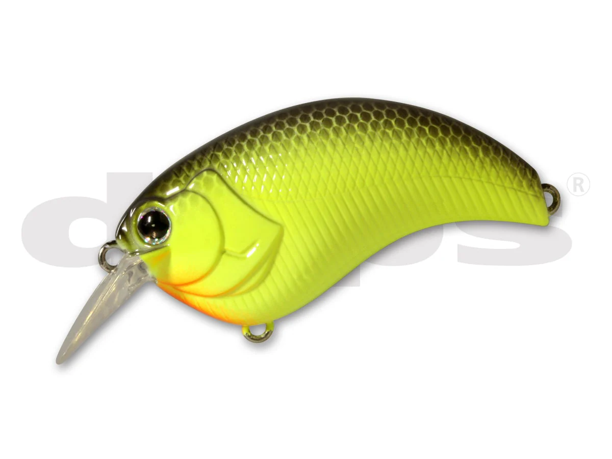 Evoke 1.2 - Image 20