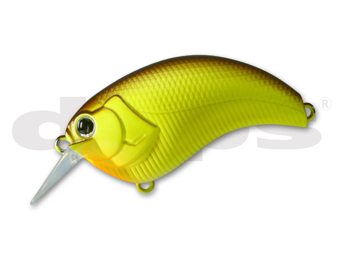 Evoke 1.8 - Image 20
