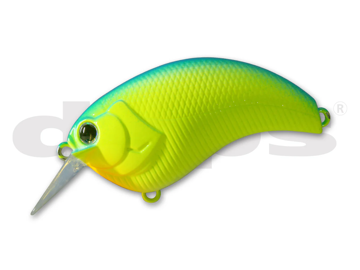 Evoke 2.0 - Image 16