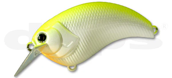 Evoke 2.0 - Image 18