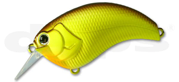 Evoke 2.0 - Image 3