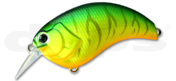 Evoke 2.0 - Image 5