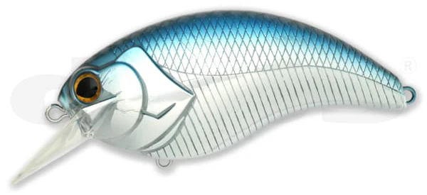Evoke 4.0 - Image 2