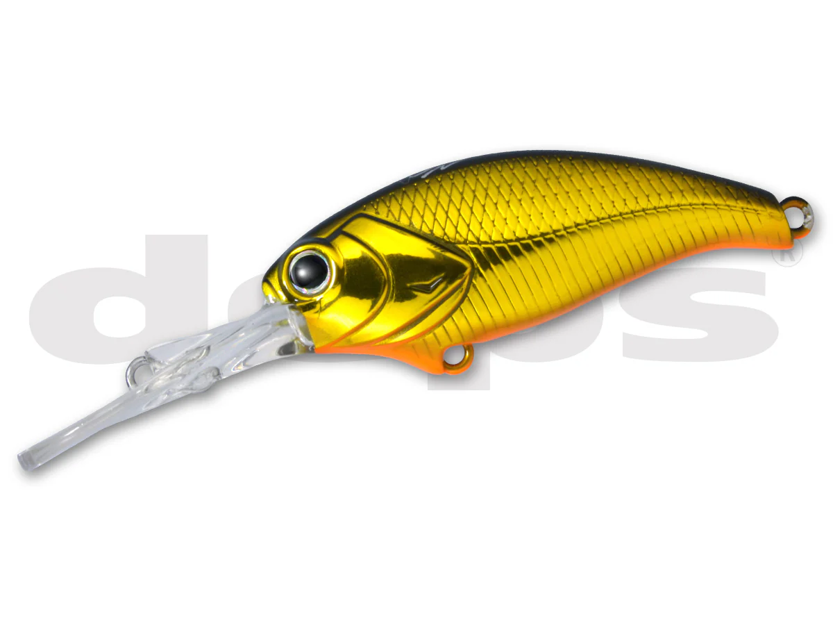 Evoke Shad - Image 5