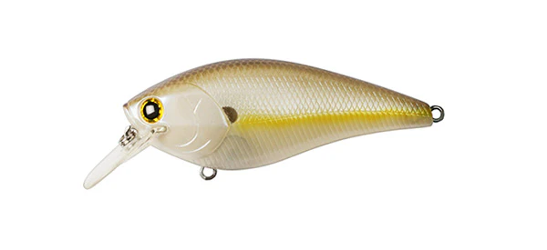 Fat CB BDS 3 - Image 2