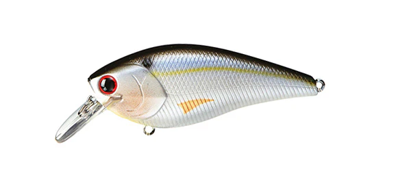 Fat CB BDS 3 - Image 3