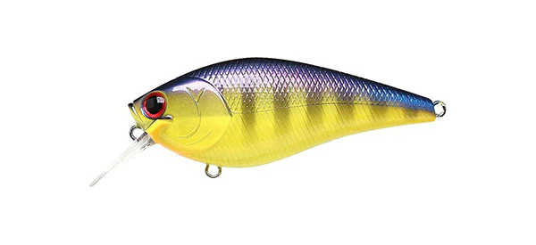 Fat CB BDS 3 - Image 7
