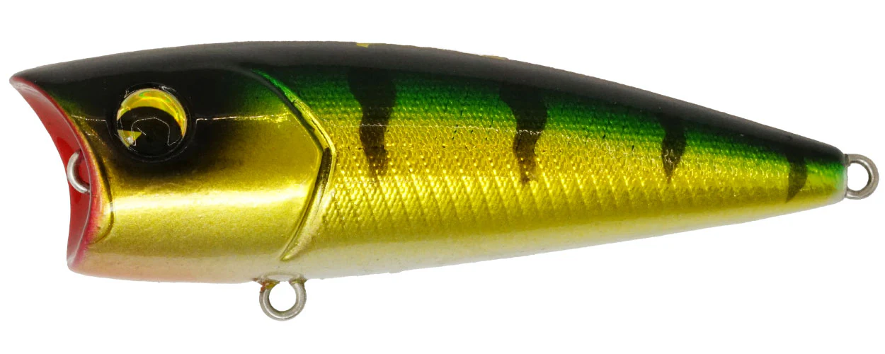 Popper 65 - Image 10