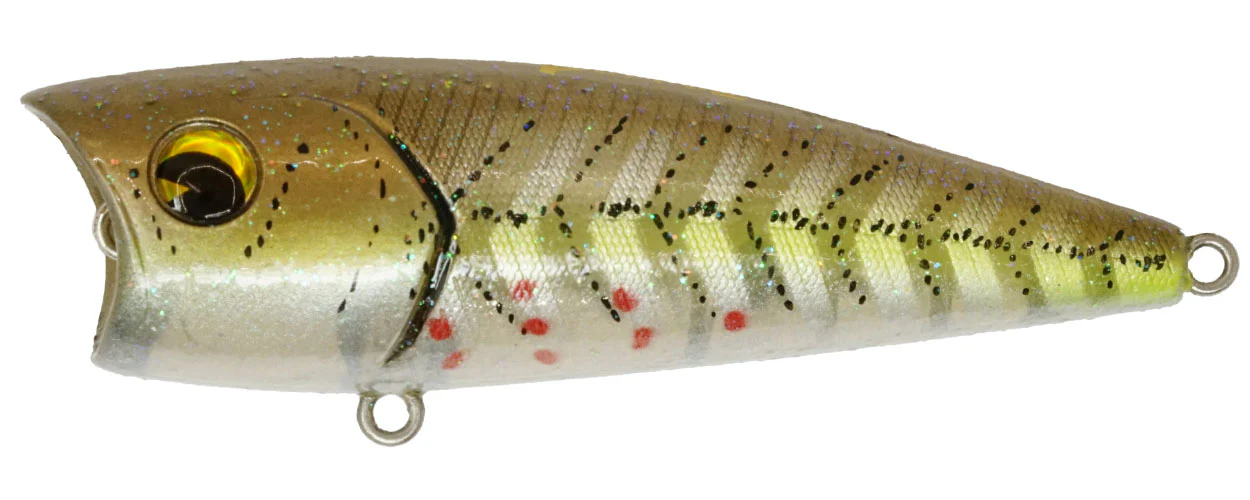 Popper 65 - Image 11