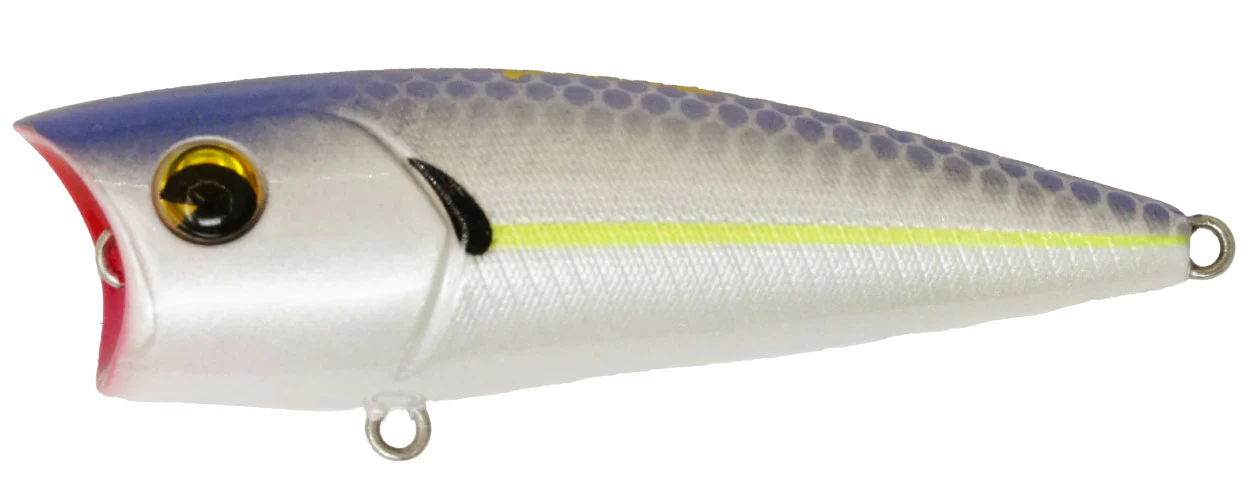 Popper 65 - Image 2