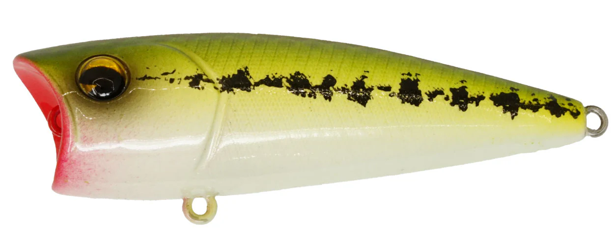 Popper 65 - Image 3