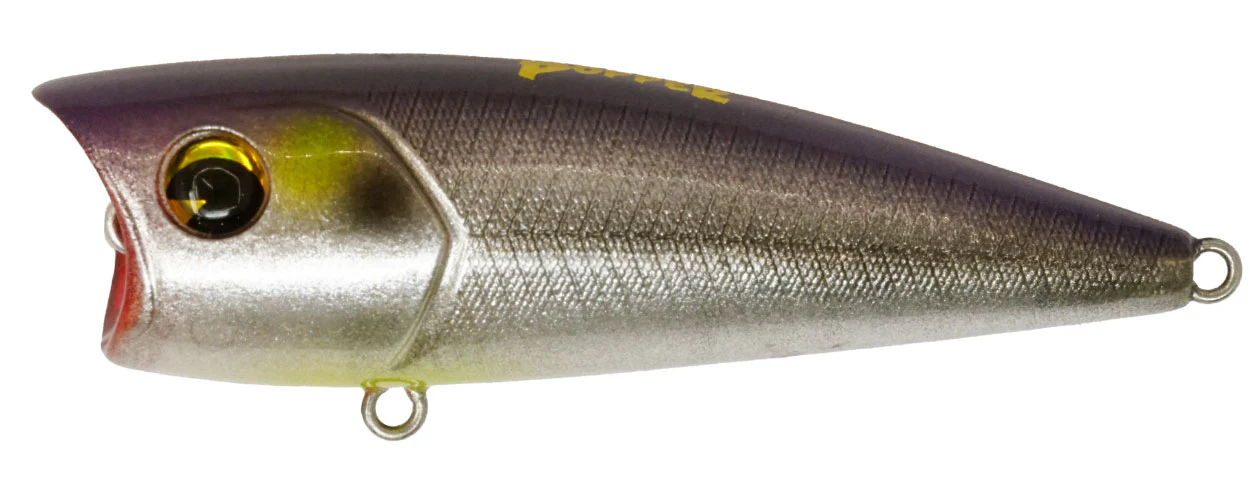 Popper 65 - Image 6