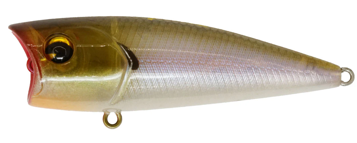 Popper 65 - Image 7