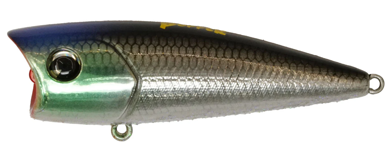 Popper 65 - Image 8