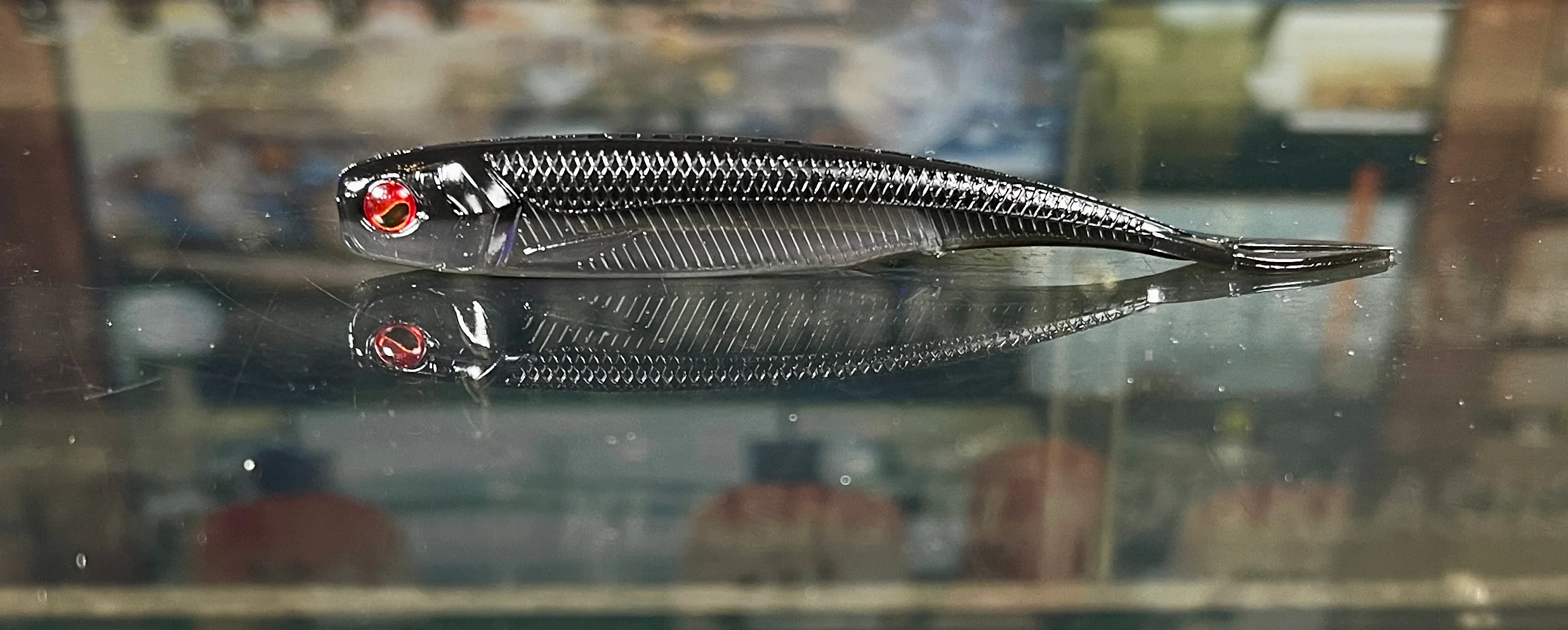 Fish Roller - Image 30